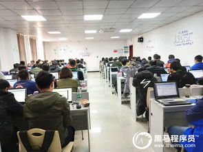 元宵佳節(jié)，相聚黑馬 鄭州Python基礎(chǔ)3期開班啦！